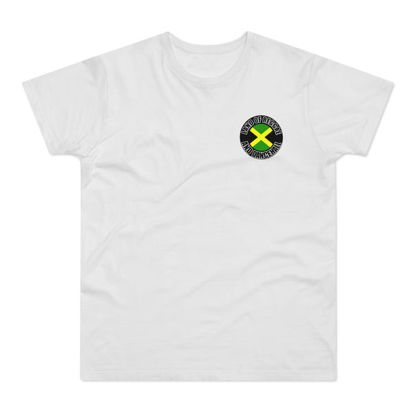 LAND OF REGGAE AND DANCEHAL Men's Premium Tee