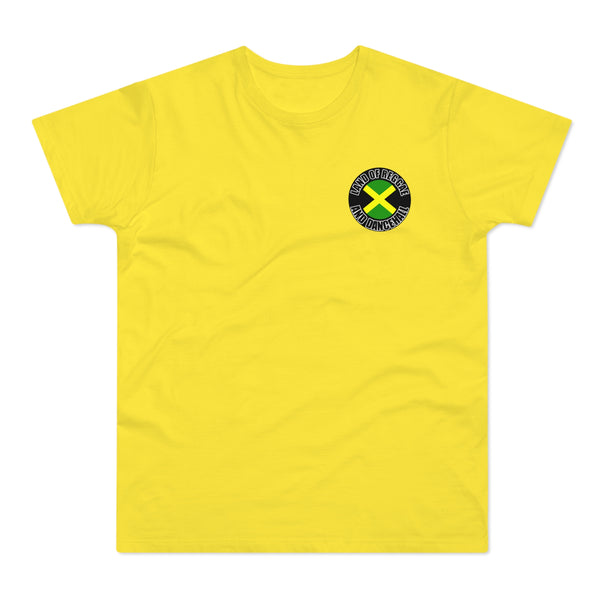 LAND OF REGGAE AND DANCEHAL Men's Premium Tee